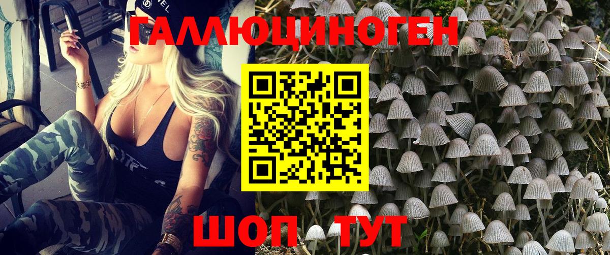 LSD-25  Вход с VPN  ЭКСТАЗИ  Марихуана  Магазины продажи наркотиков  Мефедрон  MDMA  МЕТАМФЕТАМИН  Ртищево  МЕФ кристаллы 