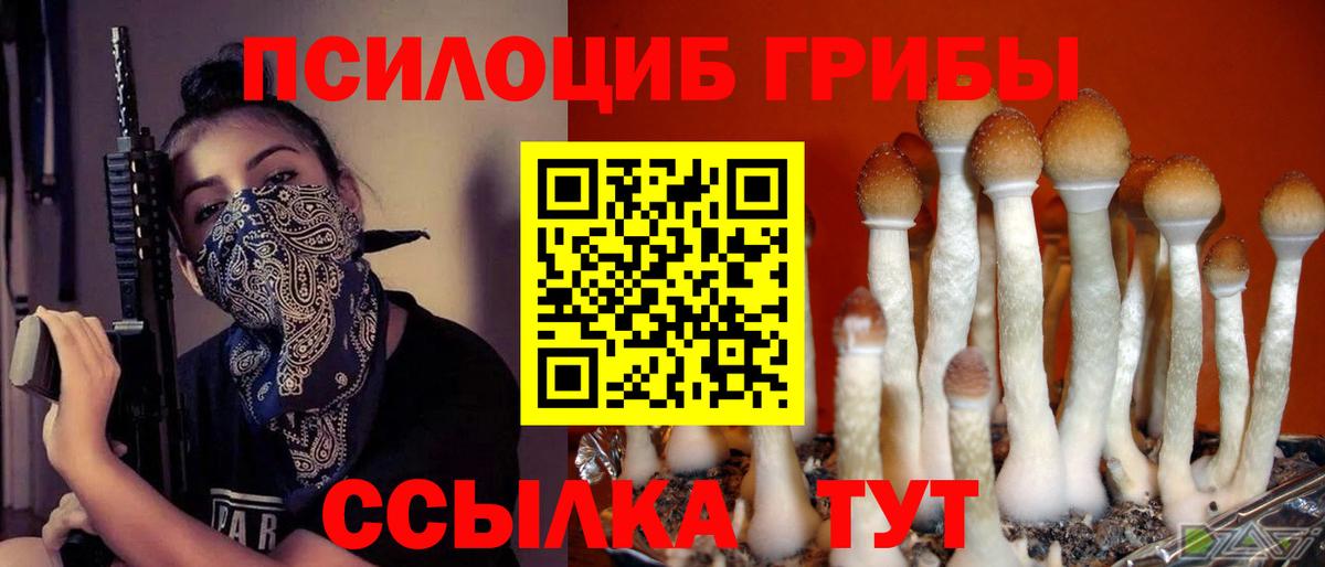 Ртищево  Галлюциногенные грибы мухоморы  наркота  Вход с VPN 